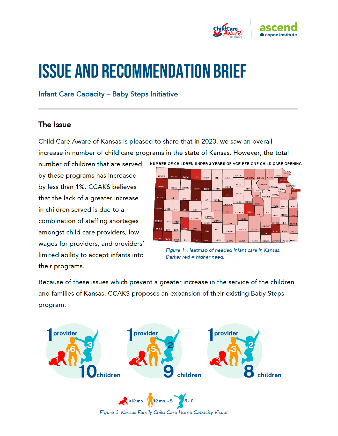 Baby Steps – Issue and Recommendation Brief